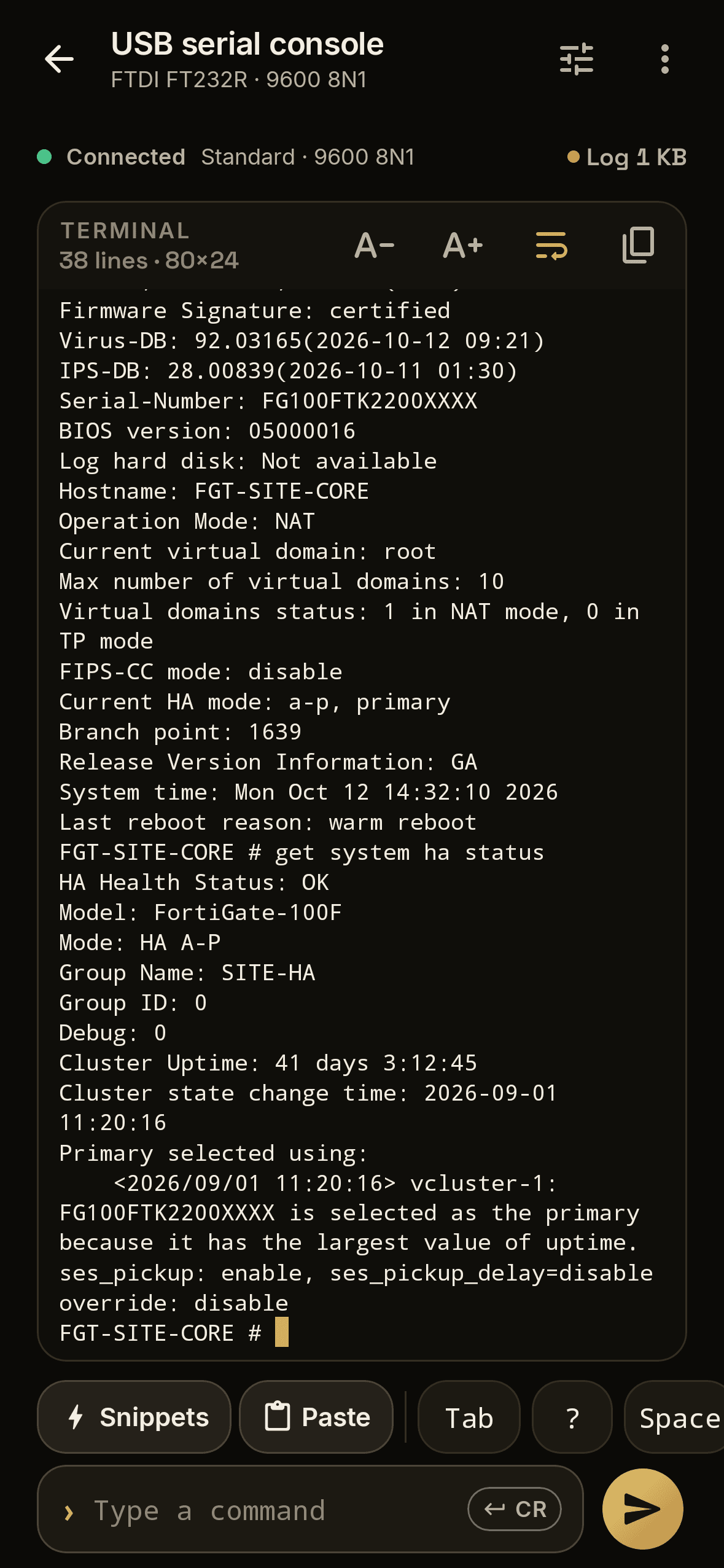 A serial console session